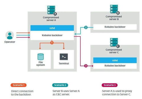 超級(jí)計(jì)算機(jī)的安全警鐘 新型Linux惡意軟件如何竊取SSH數(shù)據(jù)